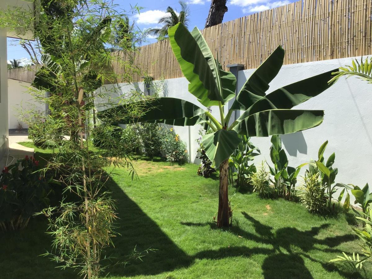 Bamboobeachvilla1 Ac New Oceanfront Pool Sunsetview Garden Kitchen Satellite Starlink Wi-Fi Dimiao Exterior photo